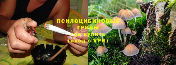 прущий лед Алзамай