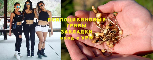экстази Алексеевка