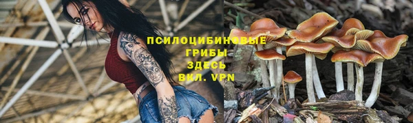 прущий лед Алзамай