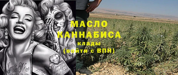 прущий лед Алзамай