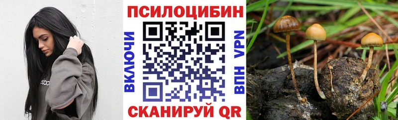 Галлюциногенные грибы MAGIC MUSHROOMS  Боровск 